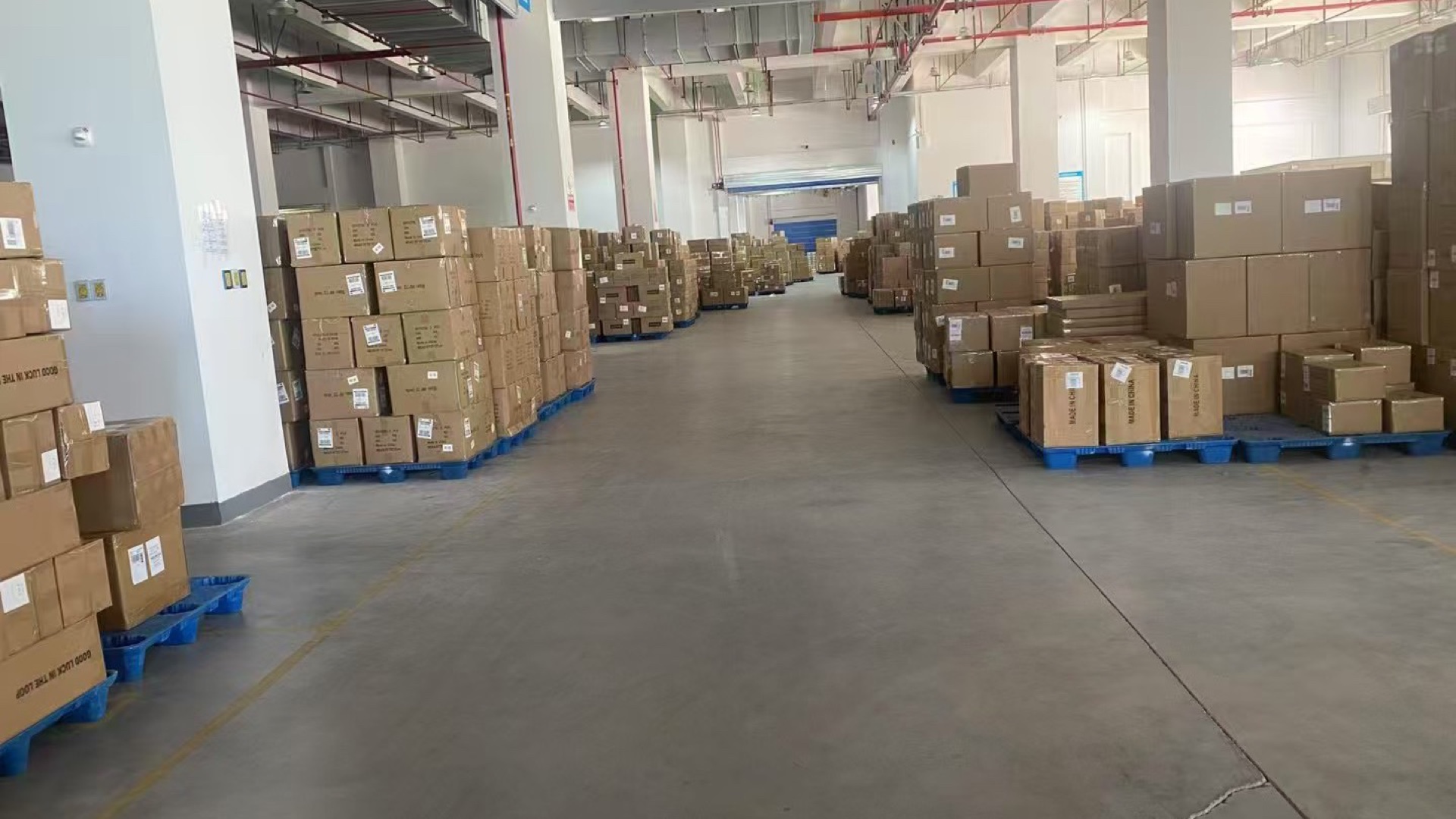 Wide warehouse view of cartons prepared for dispatch.