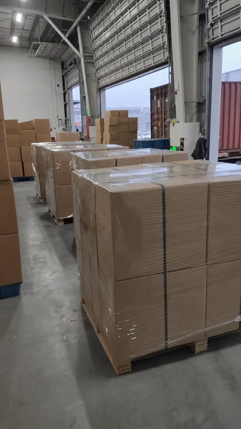 Warehouse loading bay with palletised cartons prepared for dispatch.